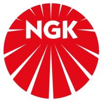 Ngk 1065